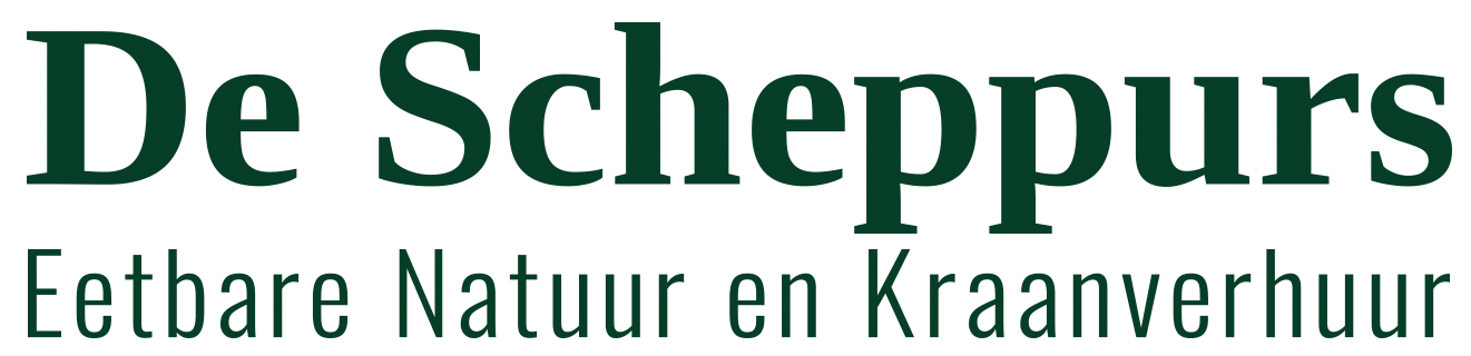 De Scheppurs